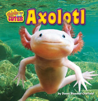Axolotl - undefined