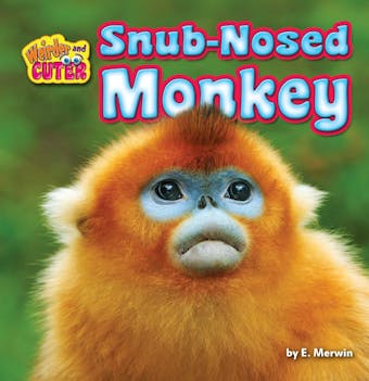 Snub-Nosed Monkey - undefined