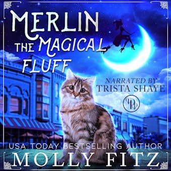 Merin the Magical Fluff: A Hilarious Mystery with a Witchy Cat and his Human Familiar - undefined