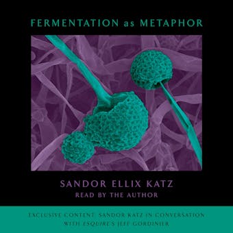 Fermentation as Metaphor: Follow Up to the Bestselling "The Art of Fermentation" - undefined
