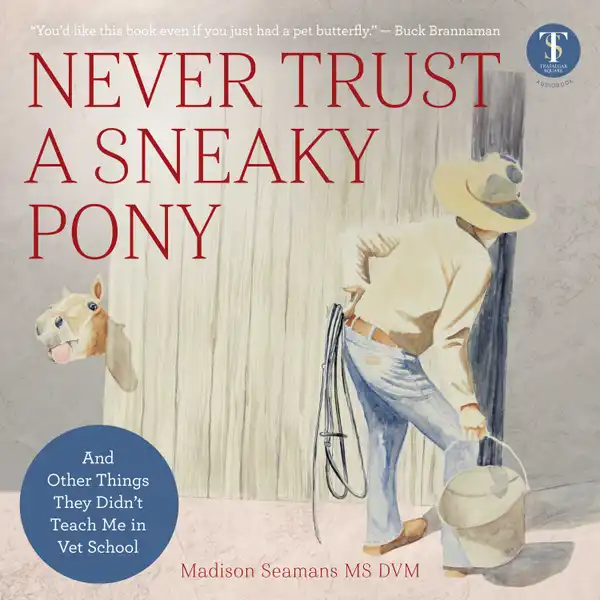 Never Trust a Sneaky Pony : And Other Things They Didn't Teach Me in Vet School