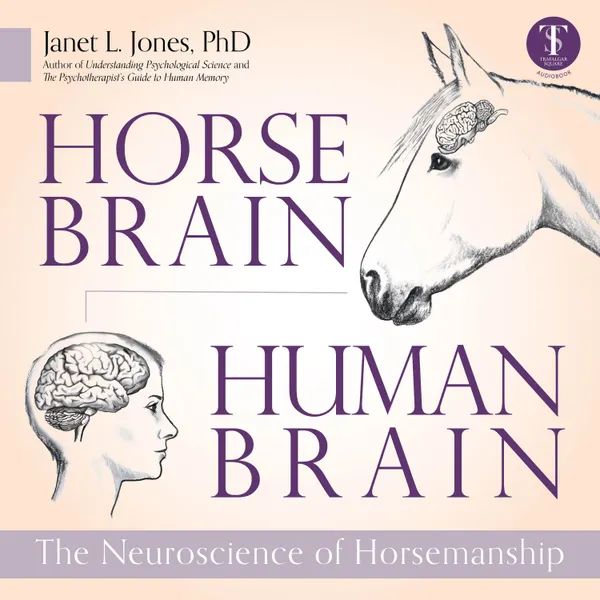 Horse Brain, Human Brain : The Neuroscience of Horsemanship