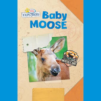 Active Minds Explorers: Baby Moose - undefined