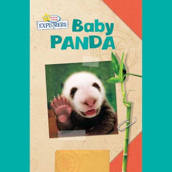 Active Minds Explorers: Baby Panda - undefined