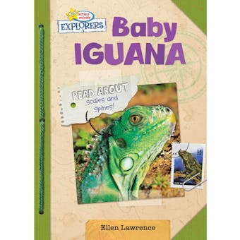 Active Minds Explorers: Baby Iguana - undefined