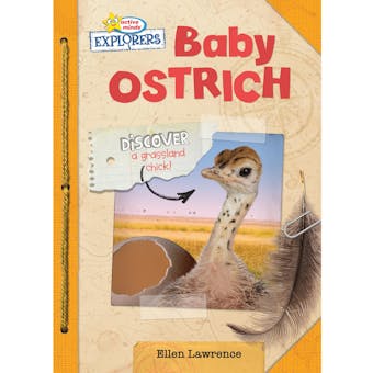 Active Minds Explorers: Baby Ostrich - undefined