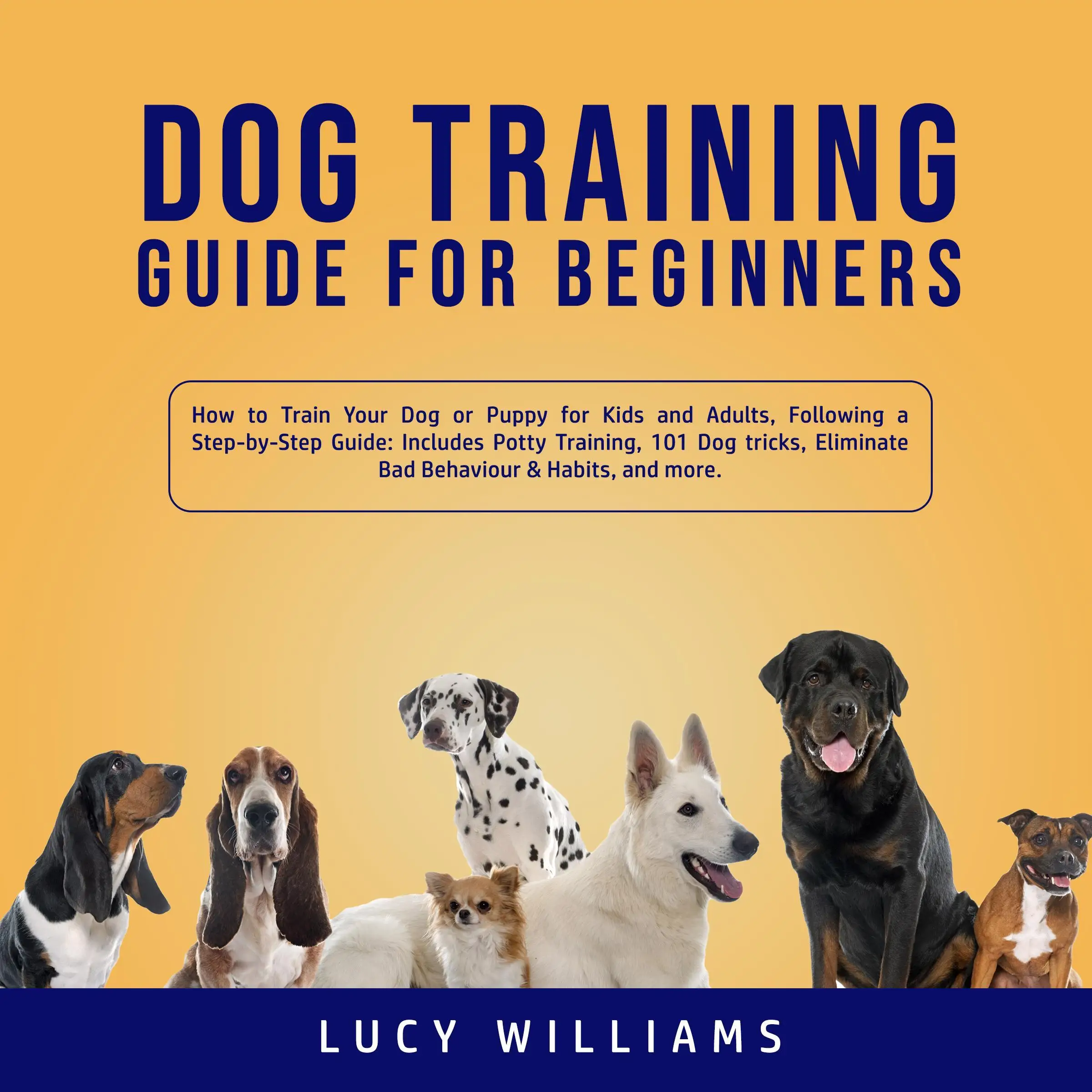 Puppy training deals 101