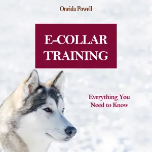E collar training manual hotsell