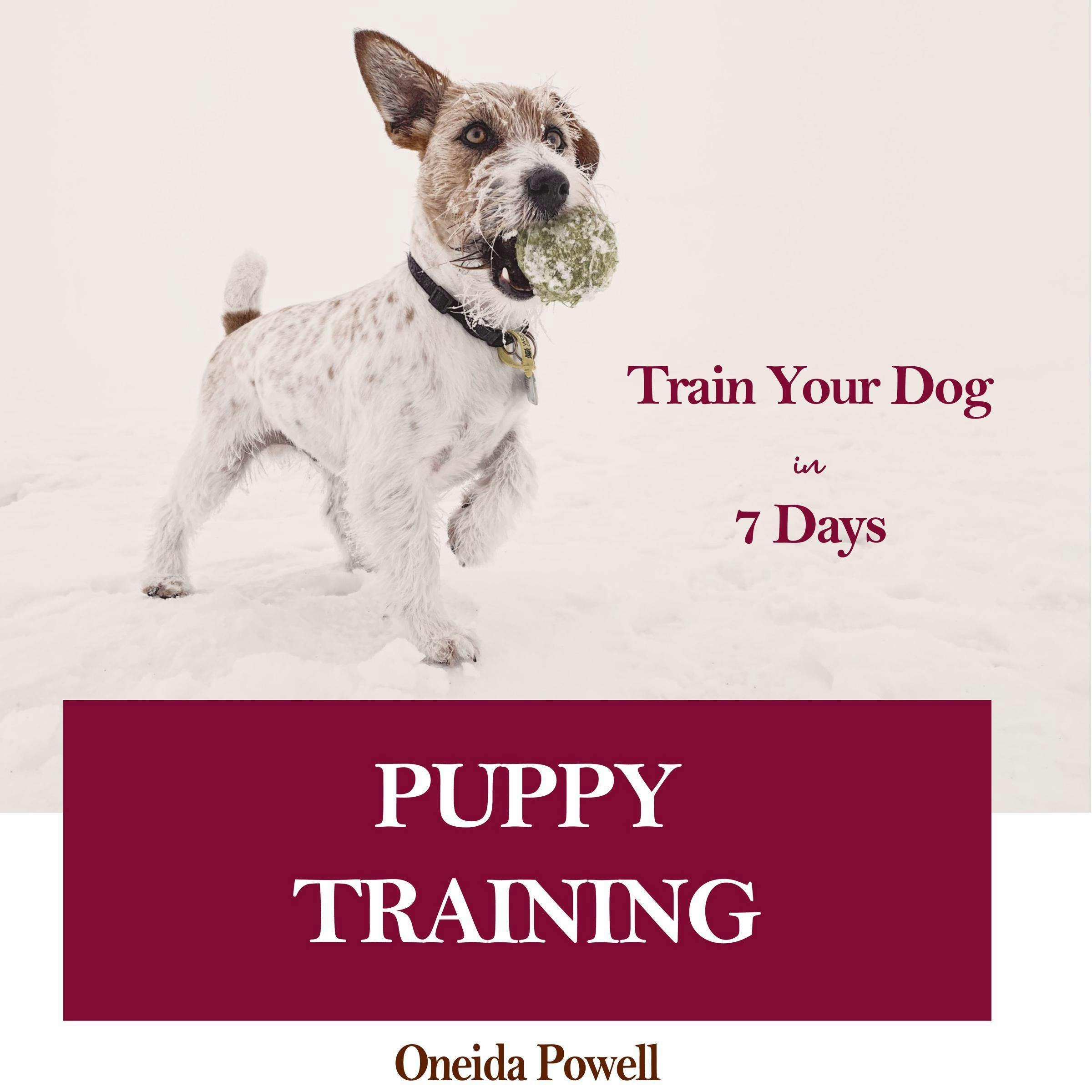 Train your dog in 7 sale days