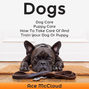 Dogs: Dog Care: Puppy Care: How To Take Care Of And Train Your Dog Or Puppy - undefined