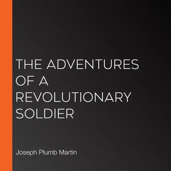 The Adventures Of A Revolutionary Soldier