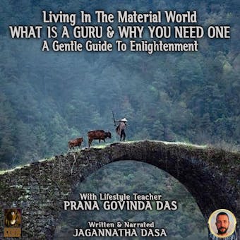 Living In The Material World What Is A Guru & Why You Need One - undefined