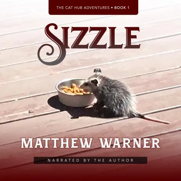Sizzle : The Cat Hub Adventures, Book 1