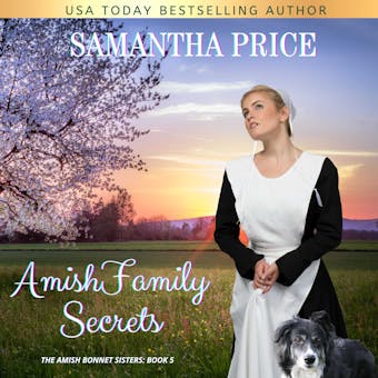 Amish Family Secrets: Amish Romance - Samantha Price