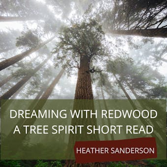 Dreaming with Redwood: A Tree Spirit Short Read - undefined