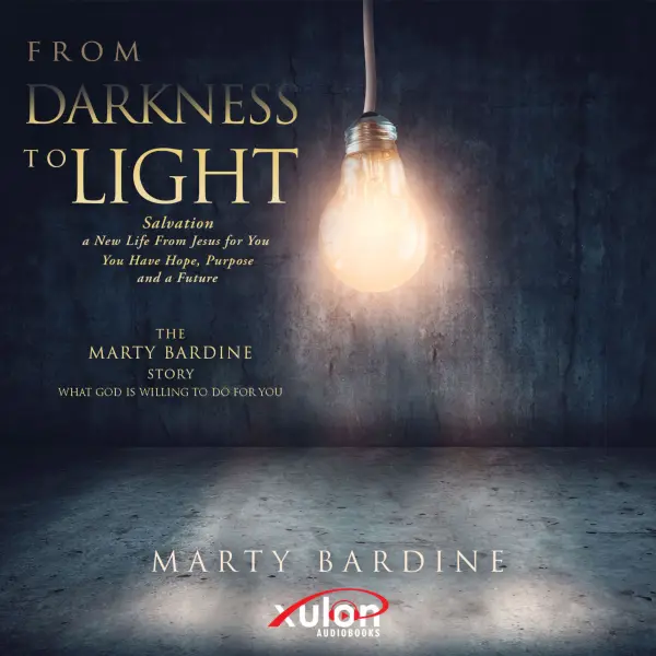FROM DARKNESS TO LIGHT : THE MARTY BARDINE STORY:  WHAT GOD WILL DO FOR YOU