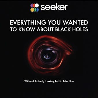 Everything You Wanted to Know About Black Holes: (Without Actually Having To Go Into One) - Seeker