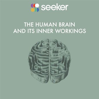 The Human Brain and its Inner Workings - undefined