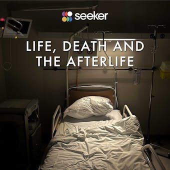 Life, Death and The Afterlife - Seeker