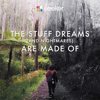 The Stuff Dreams (And Nightmares) Are Made Of - Seeker