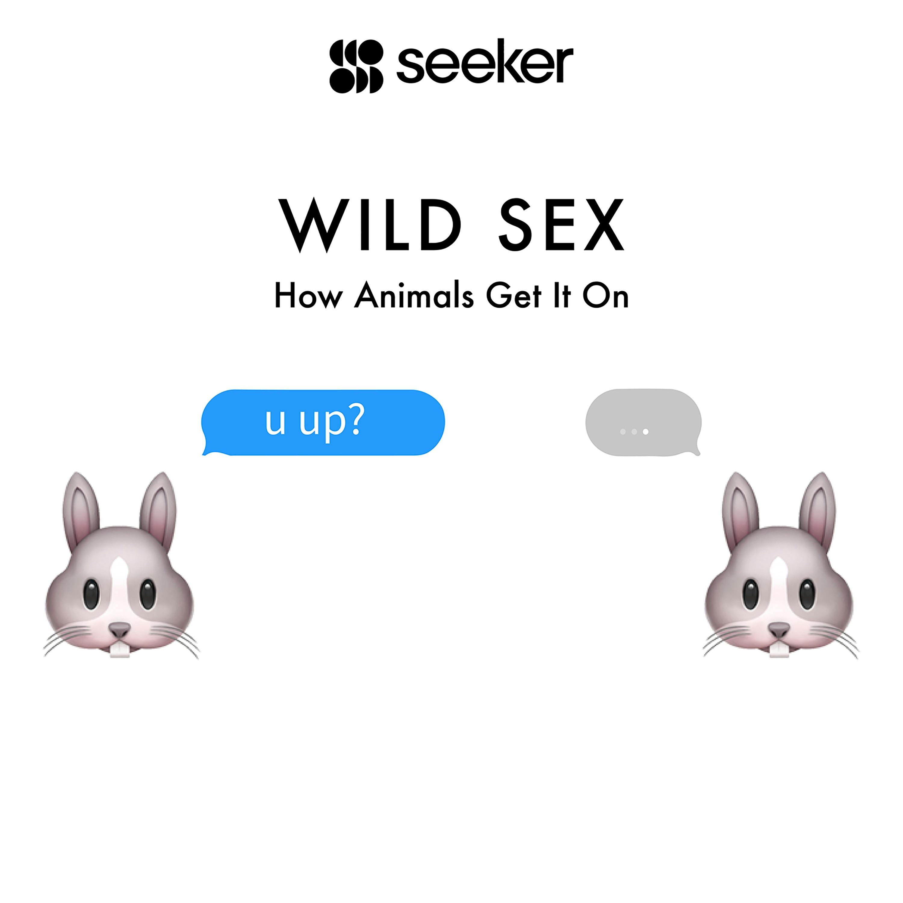 Wild Sex: How Animals Get It On | Audiobook | Seeker | Nextory