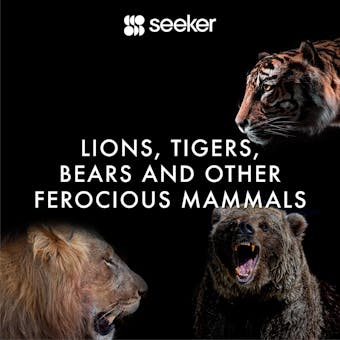 Lions, Tigers, Bears and Other Ferocious Mammals - undefined