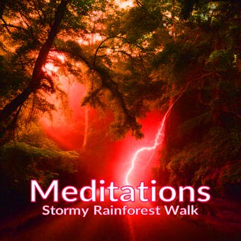 Meditations - Stormy Rainforest Walk - undefined