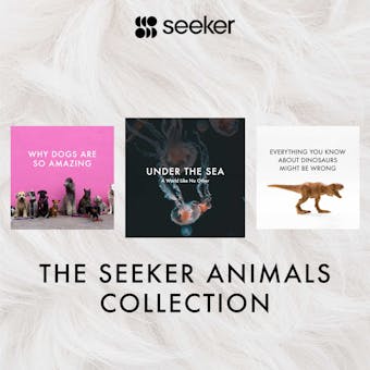 The Seeker Animals Collection - undefined
