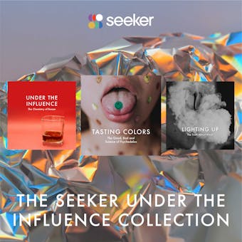 The Seeker Under the Influence Collection - undefined