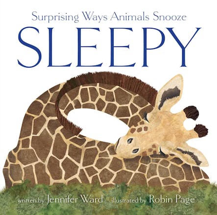 Sleepy : Surprising Ways Animals Snooze