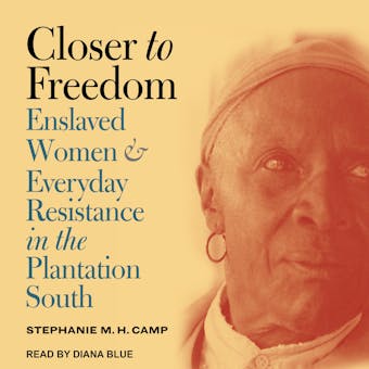 Closer to Freedom: Enslaved Women and Everyday Resistance in the Plantation South - Stephanie M.H. Camp