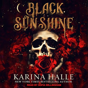 Black Sunshine - Karina Halle