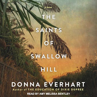 The Saints of Swallow Hill - Donna Everhart