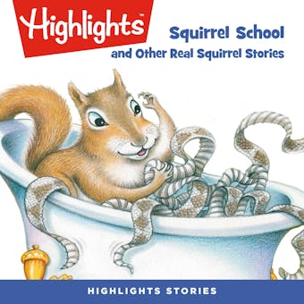 Squirrel School and Other Real Squirrel Stories - undefined