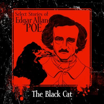 The Black Cat - undefined