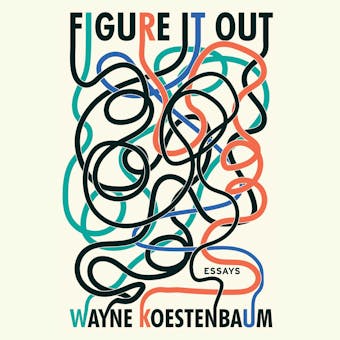 Figure it Out: Essays - undefined