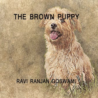 The Brown Puppy - undefined