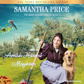 Amish Harvest Mayhem: Amish Romance - Samantha Price
