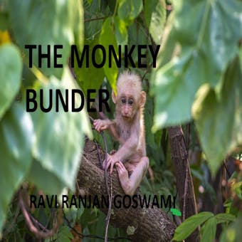 The Monkey Bunder - undefined