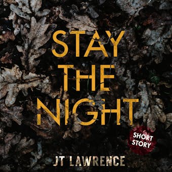 Stay the Night - undefined