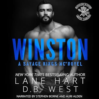 Winston - undefined