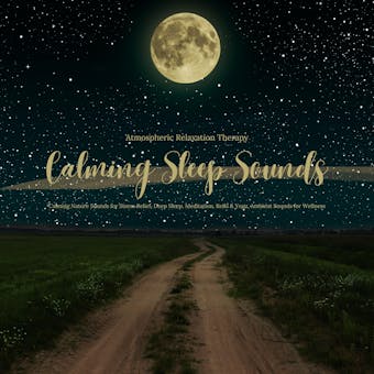 Calming Sleep Sounds - Ambient Relaxation Therapy - Calming Nature Sounds: Stress Relief, Deep Sleep, Meditation, Reiki & Yoga, Ambient Sounds for Wellness - Ambient Relaxation Therapy