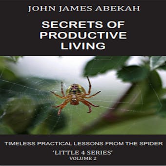 SECRETS OF PRODUCTIVE LIVING VOL. 2: (TIMELESS PRACTICAL LESSONS FROM THE SPIDER) - JOHN JAMES ABEKAH