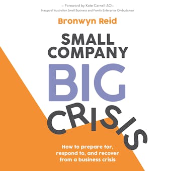 Small Company Big Crisis: How to prepare for, respond to, and recover from a business crisis - undefined