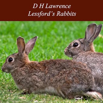 Lessford's Rabbits - undefined
