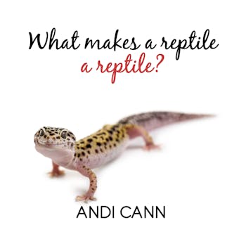 What Makes a Reptile a Reptile? - Andi Cann