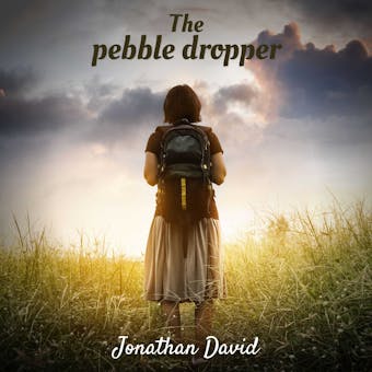 The Pebble Dropper - undefined