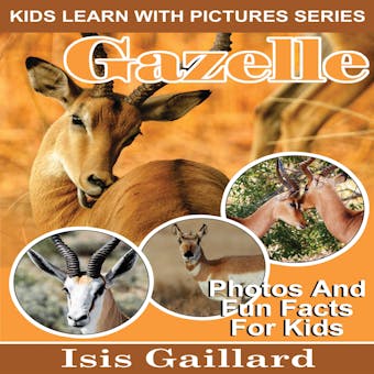 Gazelle: Photos and Fun Facts for Kids - undefined