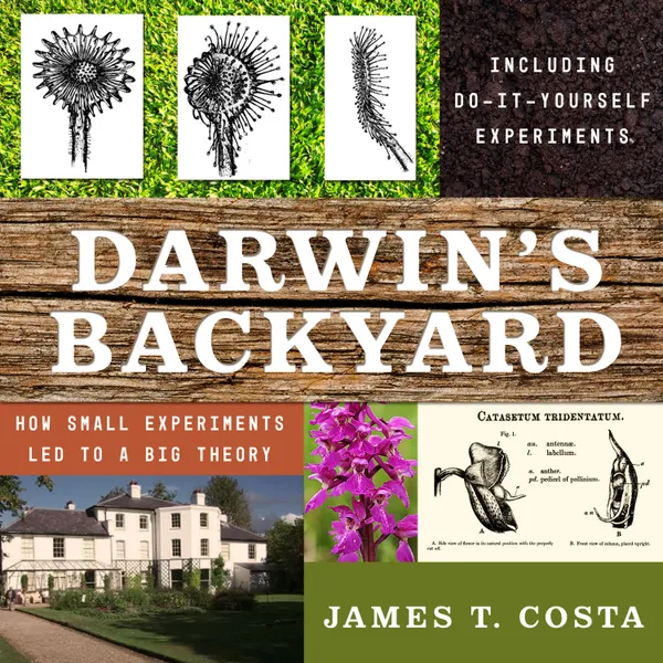 Darwin's Backyard : How Small Experiments Led to a Big Theory