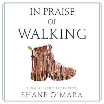 In Praise of Walking: A New Scientific Exploration - Shane O'Mara